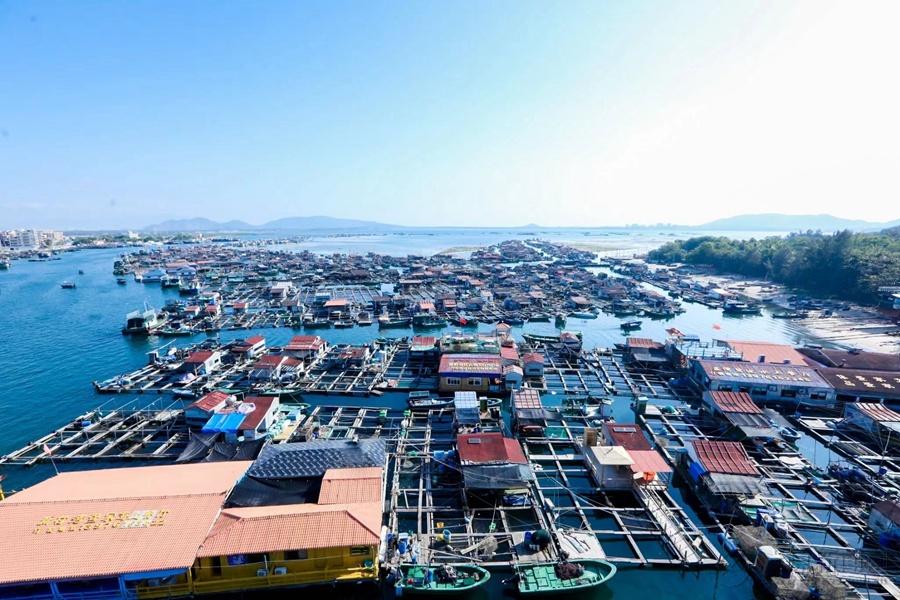 全國網(wǎng)媒探訪從景點旅游向全域旅游轉型“陵水樣本”